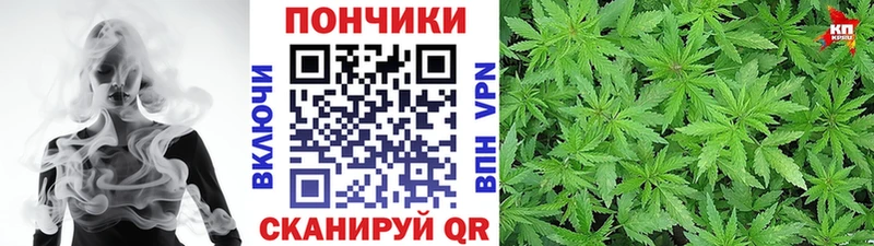 где можно купить наркотик  Краснослободск  МАРИХУАНА сатива 